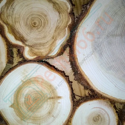 Экопанно из можжевельника (ЭНФ) 1200х500 мм