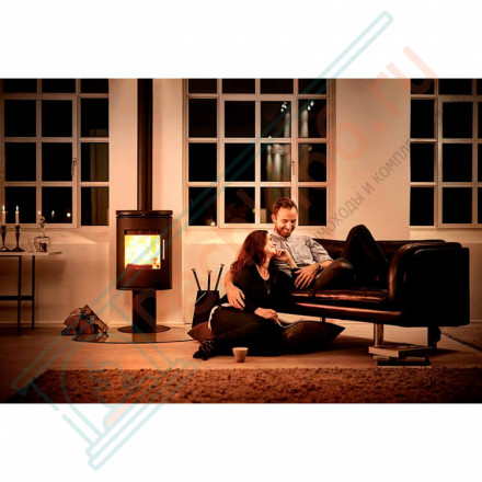 Печь-камин Morsø 6148 (Morso)