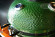 Керамический гриль SG с окошком, 57 см / 22 дюйма (зеленый) (Start Grill) в Оренбурге